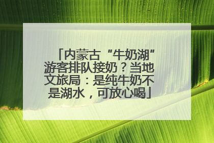 内蒙古“牛奶湖”游客排队接奶？当地文旅局：是纯牛奶不是湖水，可放心喝