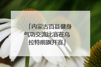 内蒙古百县健身气功交流比赛在乌拉特前旗开赛
