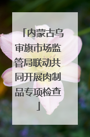 内蒙古乌审旗市场监管局联动共同开展肉制品专项检查