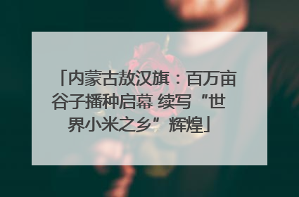 内蒙古敖汉旗：百万亩谷子播种启幕 续写“世界小米之乡”辉煌