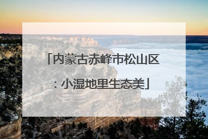 内蒙古赤峰市松山区：小湿地里生态美