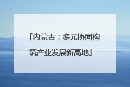 内蒙古：多元协同构筑产业发展新高地