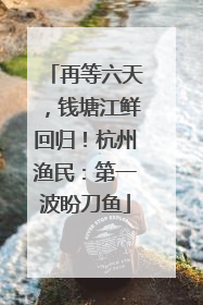 再等六天，钱塘江鲜回归！杭州渔民：第一波盼刀鱼