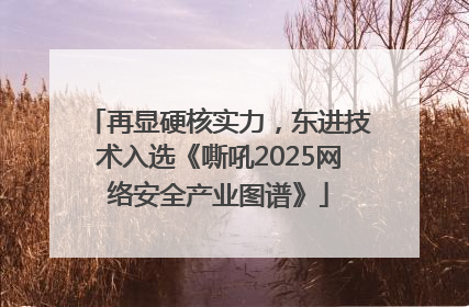 再显硬核实力，东进技术入选《嘶吼2025网络安全产业图谱》