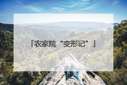 农家院“变形记”