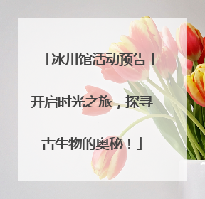 冰川馆活动预告丨开启时光之旅，探寻古生物的奥秘！