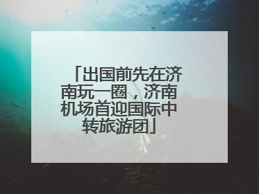 出国前先在济南玩一圈，济南机场首迎国际中转旅游团