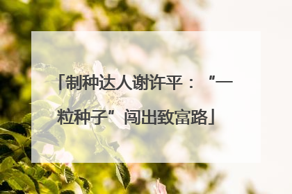 制种达人谢许平：“一粒种子”闯出致富路