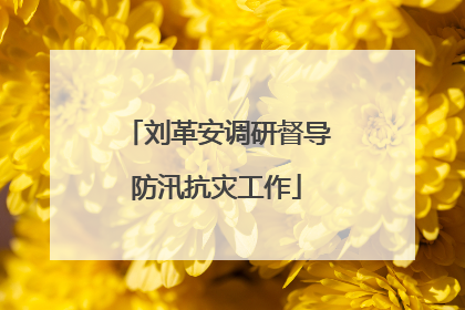 刘革安调研督导防汛抗灾工作