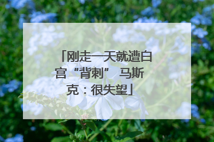 刚走一天就遭白宫“背刺” 马斯克：很失望