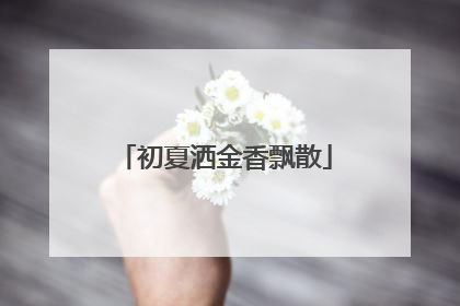 初夏洒金香飘散