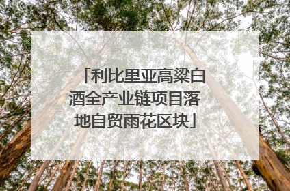 利比里亚高粱白酒全产业链项目落地自贸雨花区块