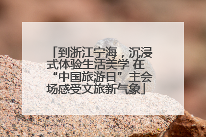到浙江宁海，沉浸式体验生活美学 在“中国旅游日”主会场感受文旅新气象