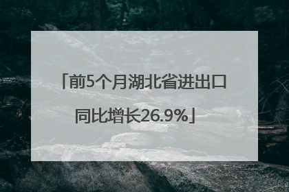 前5个月湖北省进出口同比增长26.9%