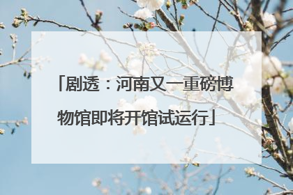 剧透：河南又一重磅博物馆即将开馆试运行