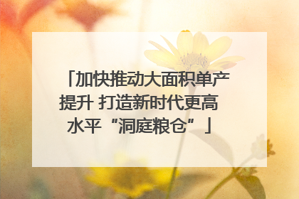 加快推动大面积单产提升 打造新时代更高水平“洞庭粮仓”