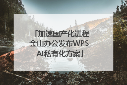 加速国产化进程 金山办公发布WPS AI私有化方案