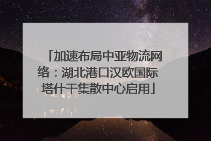 加速布局中亚物流网络：湖北港口汉欧国际塔什干集散中心启用