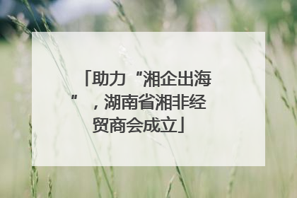 助力“湘企出海”，湖南省湘非经贸商会成立