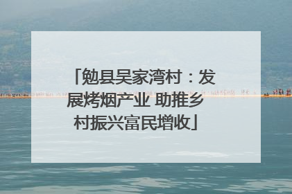 勉县吴家湾村：发展烤烟产业 助推乡村振兴富民增收
