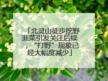 北灵山徒步挖野韭菜引发关注后续，“打野”现象已经大幅度减少