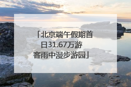 北京端午假期首日31.67万游客雨中漫步游园