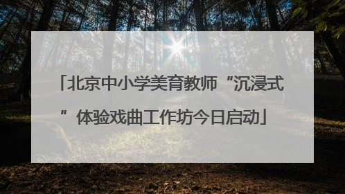北京中小学美育教师“沉浸式”体验戏曲工作坊今日启动