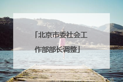 北京市委社会工作部部长调整