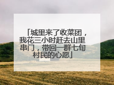 城里来了收菜团，我花三小时赶去山里串门，带回一群七旬村民的心愿