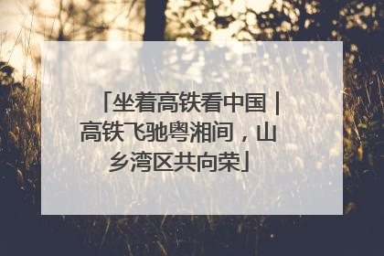 坐着高铁看中国｜高铁飞驰粤湘间，山乡湾区共向荣