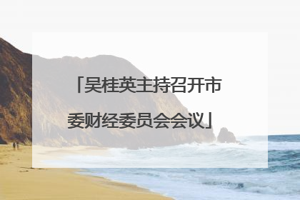 吴桂英主持召开市委财经委员会会议