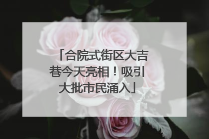 合院式街区大吉巷今天亮相！吸引大批市民涌入