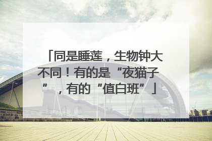 同是睡莲，生物钟大不同！有的是“夜猫子”，有的“值白班”