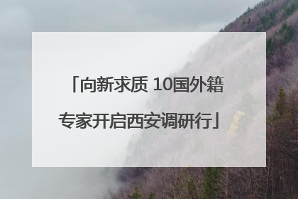 向新求质 10国外籍专家开启西安调研行