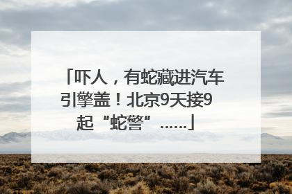 吓人，有蛇藏进汽车引擎盖！北京9天接9起“蛇警”……