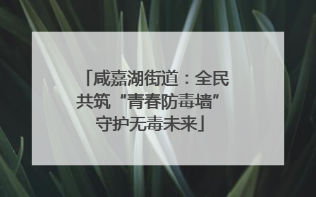 咸嘉湖街道：全民共筑“青春防毒墙” 守护无毒未来