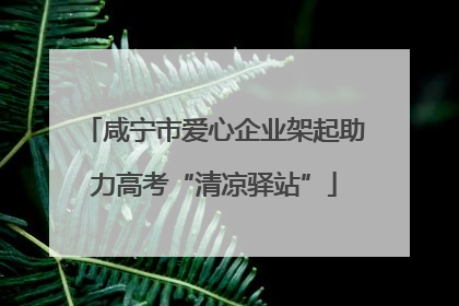 咸宁市爱心企业架起助力高考“清凉驿站”