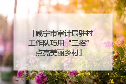 咸宁市审计局驻村工作队巧用“三招”点亮美丽乡村