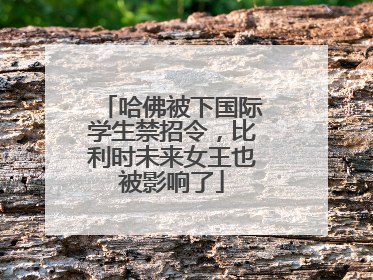 哈佛被下国际学生禁招令，比利时未来女王也被影响了