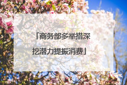 商务部多举措深挖潜力提振消费