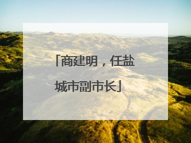 商建明，任盐城市副市长