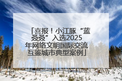 喜报！小江豚“蓝叒叒”入选2025年网络文明国际交流互鉴城市典型案例