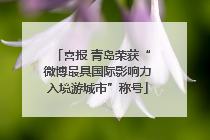 喜报 青岛荣获“微博最具国际影响力入境游城市”称号