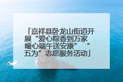 嘉祥县卧龙山街道开展“爱心粽香到万家 暖心端午送安康” “五为”志愿服务活动