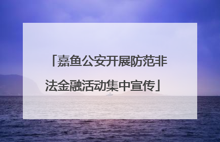 嘉鱼公安开展防范非法金融活动集中宣传