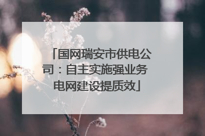国网瑞安市供电公司：自主实施强业务 电网建设提质效