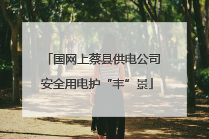 国网上蔡县供电公司安全用电护“丰”景
