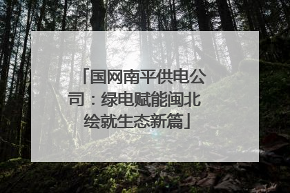 国网南平供电公司：绿电赋能闽北 绘就生态新篇