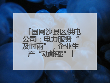 国网沙县区供电公司：电力服务“及时雨”，企业生产“动能强”