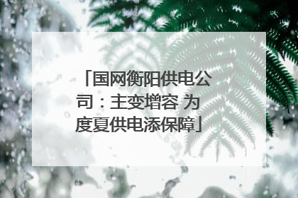 国网衡阳供电公司：主变增容 为度夏供电添保障